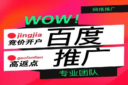 专业SEM服务公司案例分析报告