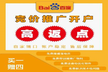 竞价推广的技巧与案例分享